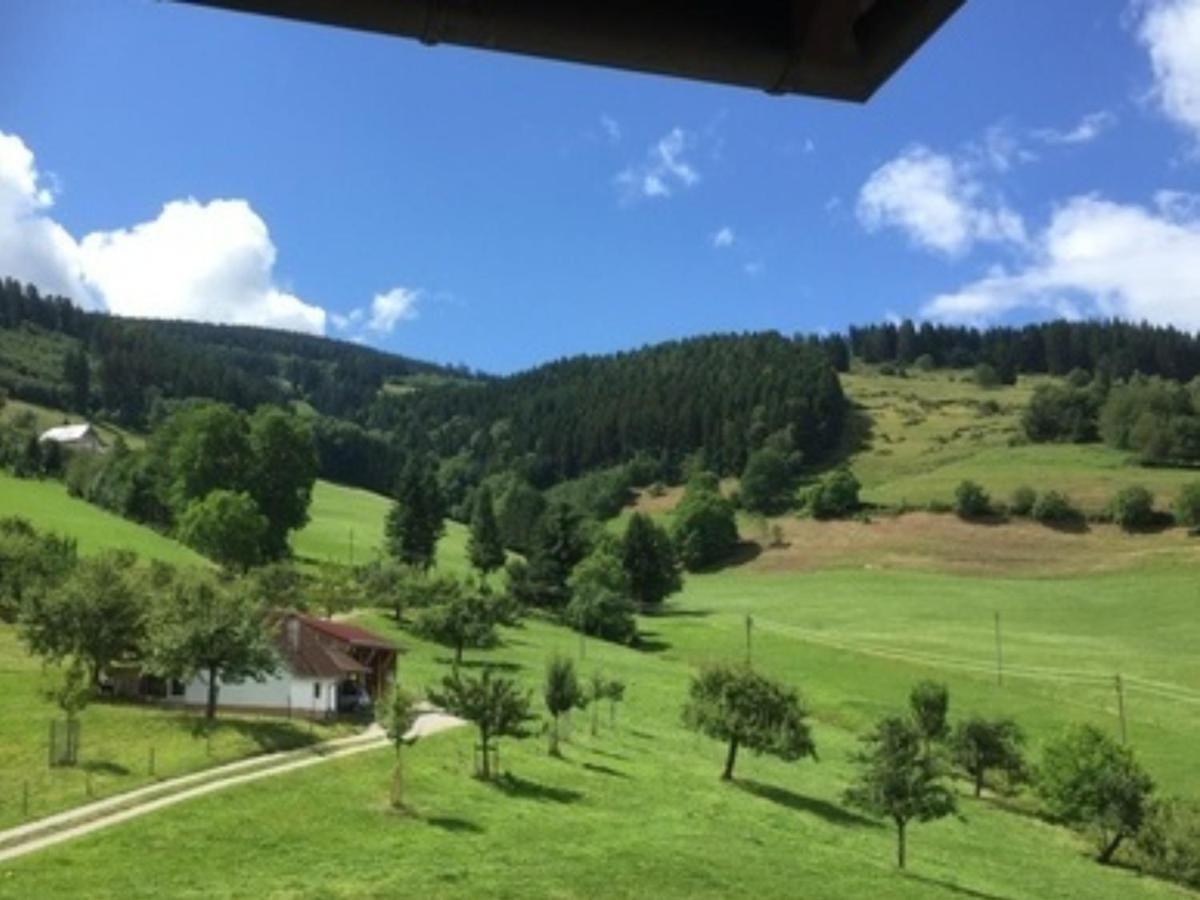 Ferienwohnungen Maierhof Oberried Oberried  Dış mekan fotoğraf