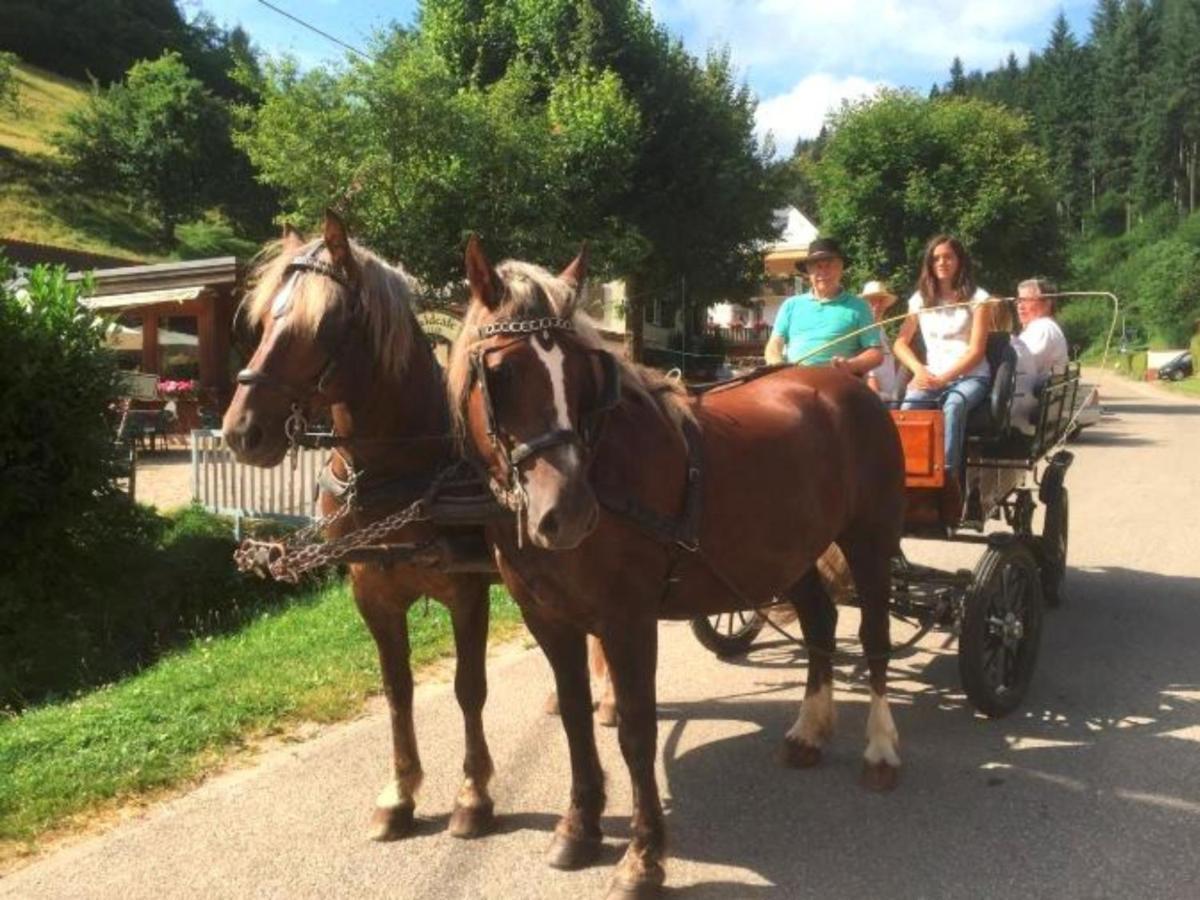 Ferienwohnungen Maierhof Oberried Oberried  Dış mekan fotoğraf