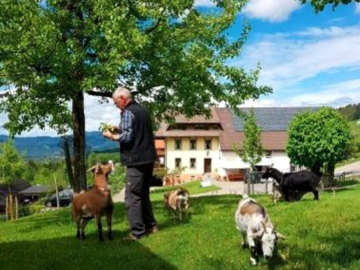 Ferienwohnungen Maierhof Oberried Oberried  Dış mekan fotoğraf