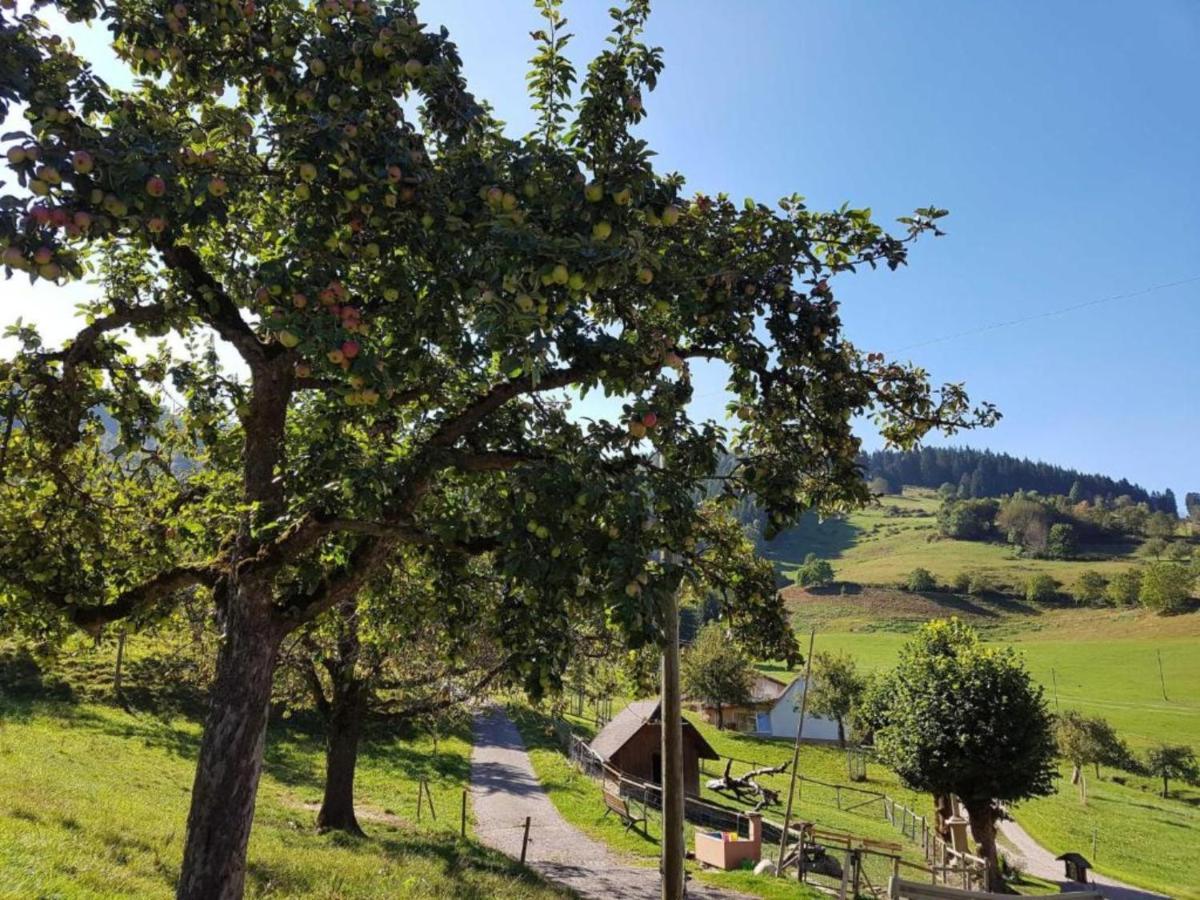 Ferienwohnungen Maierhof Oberried Oberried  Dış mekan fotoğraf