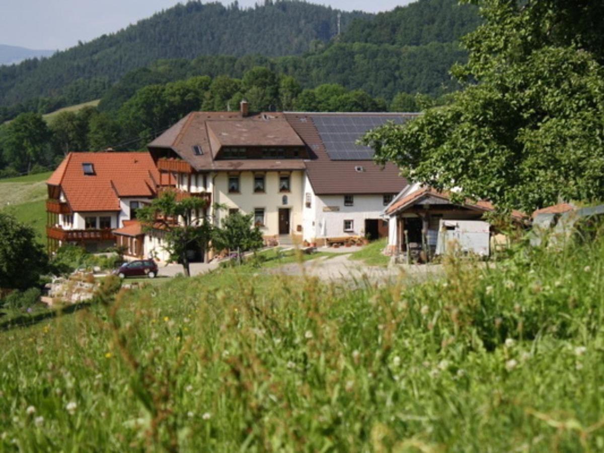 Ferienwohnungen Maierhof Oberried Oberried  Dış mekan fotoğraf