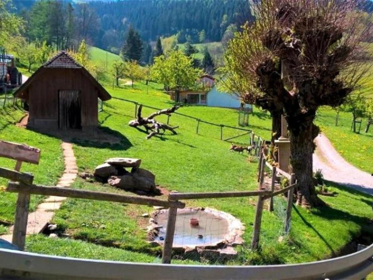 Ferienwohnungen Maierhof Oberried Oberried  Dış mekan fotoğraf