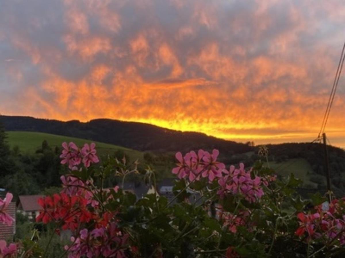 Ferienwohnungen Maierhof Oberried Oberried  Dış mekan fotoğraf