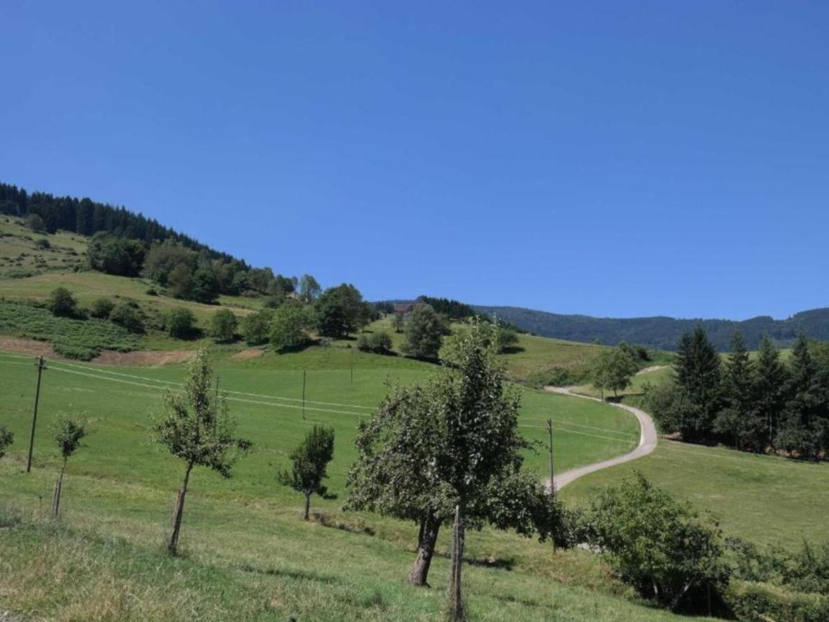 Ferienwohnungen Maierhof Oberried Oberried  Dış mekan fotoğraf