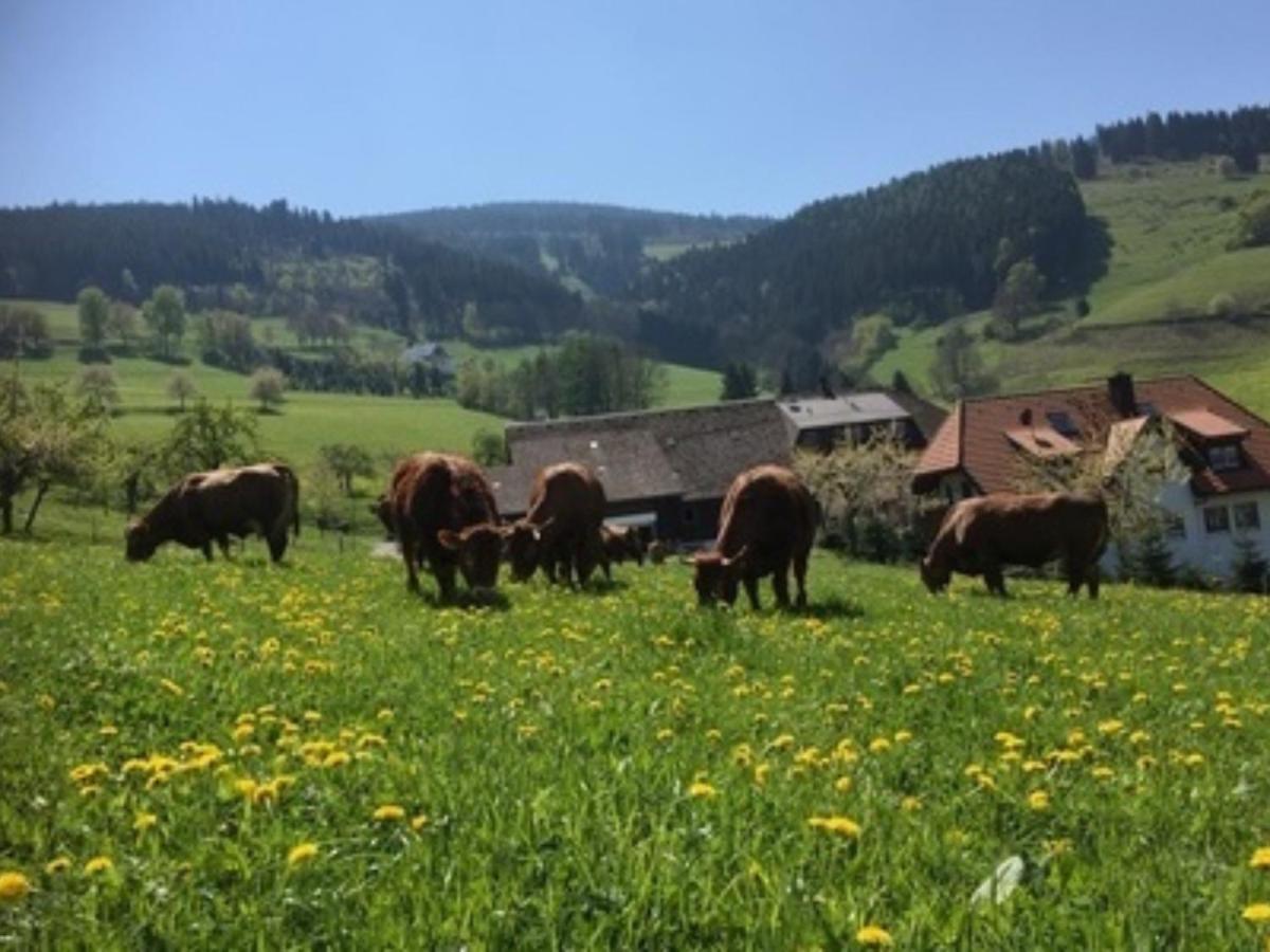 Ferienwohnungen Maierhof Oberried Oberried  Dış mekan fotoğraf
