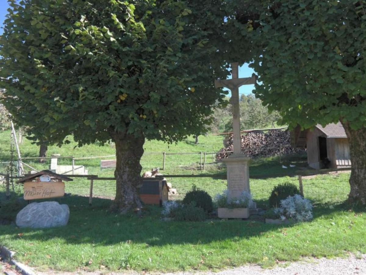Ferienwohnungen Maierhof Oberried Oberried  Dış mekan fotoğraf
